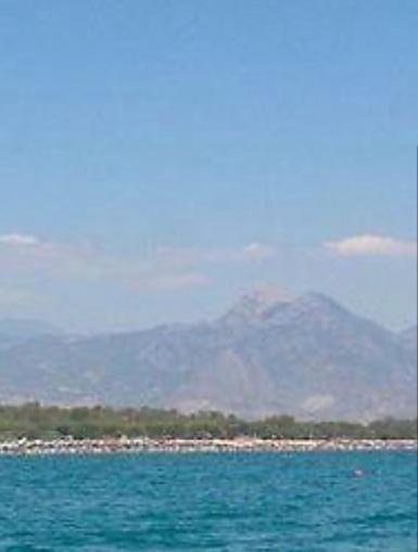 B&B Villa Anna Sibari Bagian luar foto
